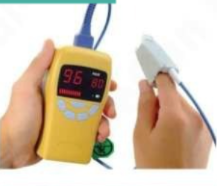 Handheld Pulse Oximeter MCS1555